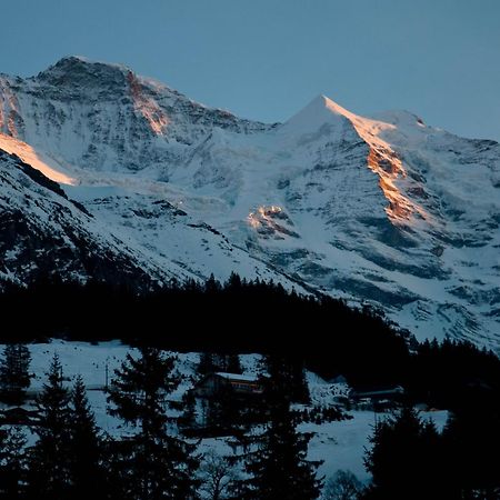 Hotel Edelweiss Венген Экстерьер фото