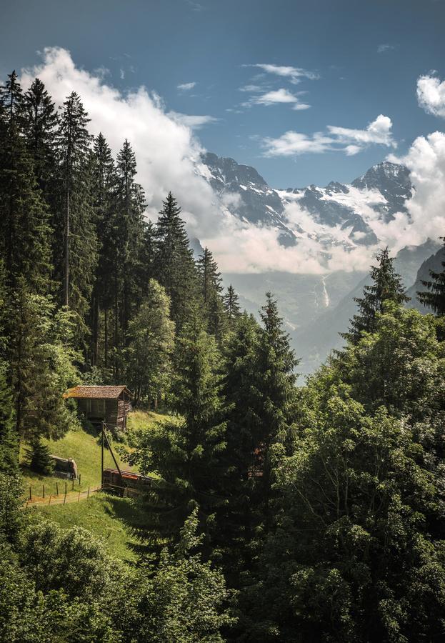 Hotel Edelweiss Венген Экстерьер фото